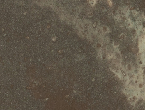 M301 Siena